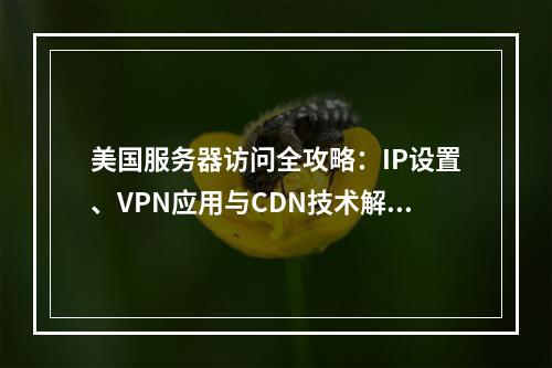 美国服务器访问全攻略：IP设置、VPN应用与CDN技术解析