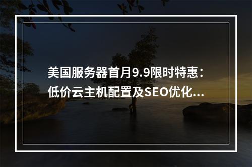 美国服务器首月9.9限时特惠：低价云主机配置及SEO优化指南