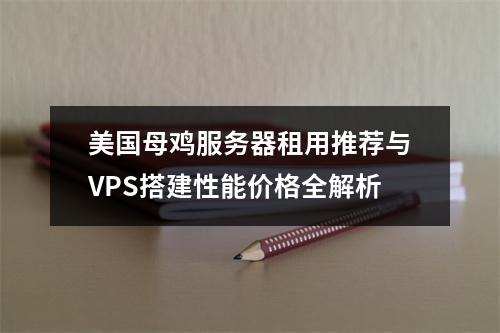美国母鸡服务器租用推荐与VPS搭建性能价格全解析