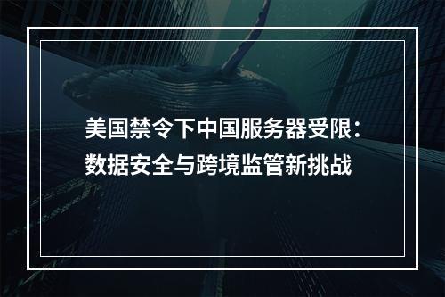 美国禁令下中国服务器受限：数据安全与跨境监管新挑战