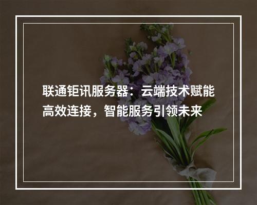 联通钜讯服务器：云端技术赋能高效连接，智能服务引领未来