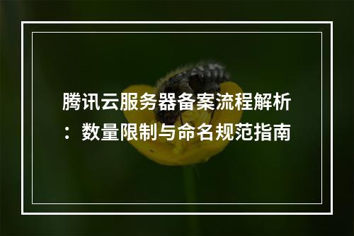 腾讯云服务器备案流程解析：数量限制与命名规范指南