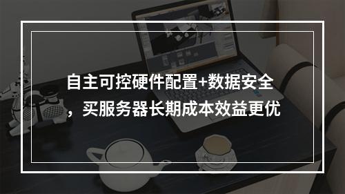 自主可控硬件配置+数据安全，买服务器长期成本效益更优