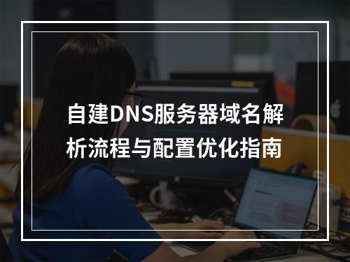 自建DNS服务器域名解析流程与配置优化指南