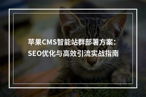苹果CMS智能站群部署方案：SEO优化与高效引流实战指南