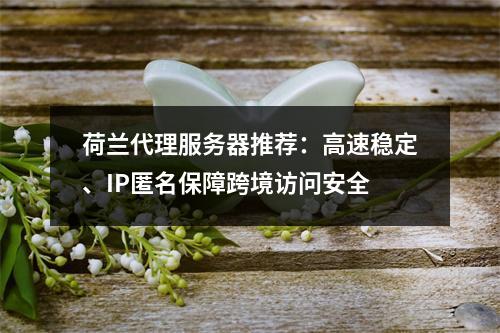 荷兰代理服务器推荐：高速稳定、IP匿名保障跨境访问安全