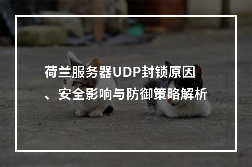荷兰服务器UDP封锁原因、安全影响与防御策略解析