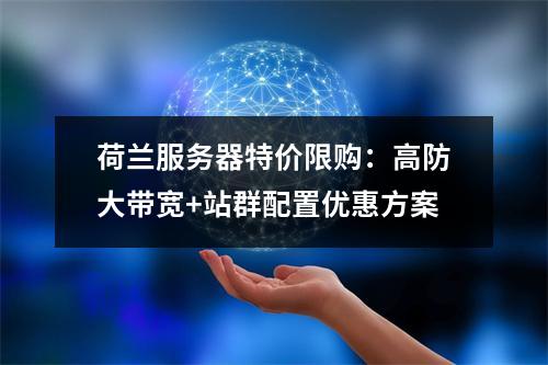 荷兰服务器特价限购：高防大带宽+站群配置优惠方案