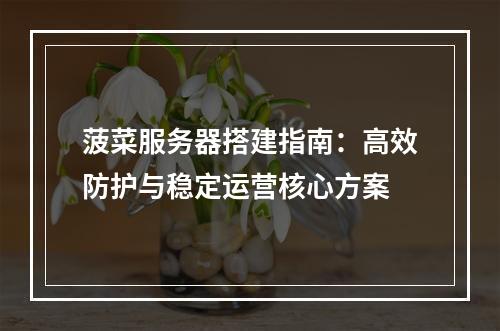 菠菜服务器搭建指南：高效防护与稳定运营核心方案