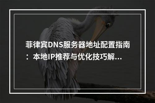 菲律宾DNS服务器地址配置指南：本地IP推荐与优化技巧解析