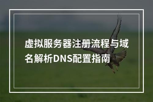 虚拟服务器注册流程与域名解析DNS配置指南