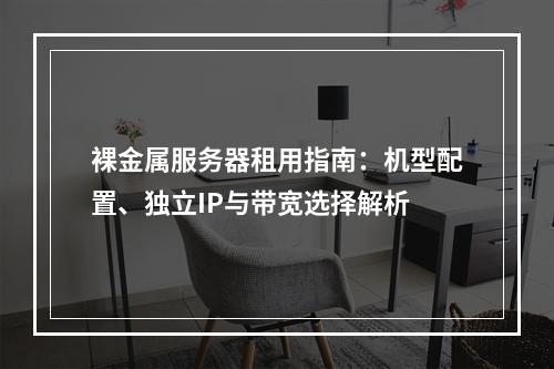 裸金属服务器租用指南：机型配置、独立IP与带宽选择解析
