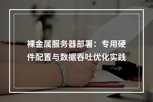 裸金属服务器部署：专用硬件配置与数据吞吐优化实践