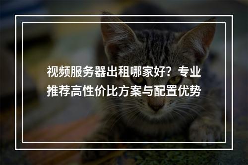 视频服务器出租哪家好？专业推荐高性价比方案与配置优势
