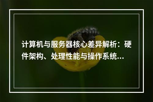 计算机与服务器核心差异解析：硬件架构、处理性能与操作系统对比