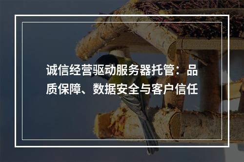 诚信经营驱动服务器托管：品质保障、数据安全与客户信任