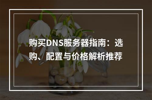 购买DNS服务器指南：选购、配置与价格解析推荐