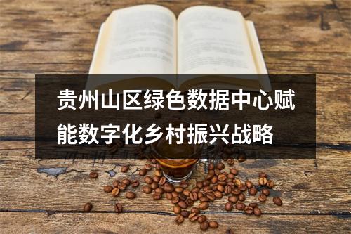 贵州山区绿色数据中心赋能数字化乡村振兴战略