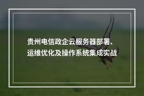 贵州电信政企云服务器部署、运维优化及操作系统集成实战