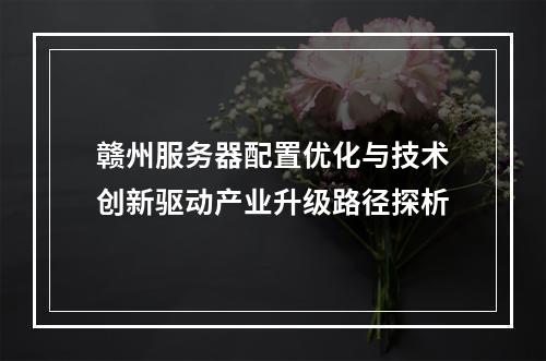 赣州服务器配置优化与技术创新驱动产业升级路径探析