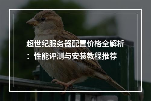 超世纪服务器配置价格全解析：性能评测与安装教程推荐