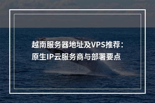 越南服务器地址及VPS推荐：原生IP云服务商与部署要点
