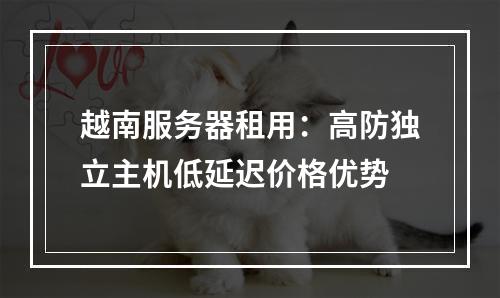 越南服务器租用：高防独立主机低延迟价格优势
