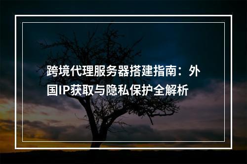 跨境代理服务器搭建指南：外国IP获取与隐私保护全解析