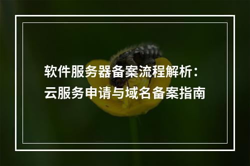 软件服务器备案流程解析：云服务申请与域名备案指南