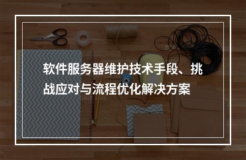 软件服务器维护技术手段、挑战应对与流程优化解决方案