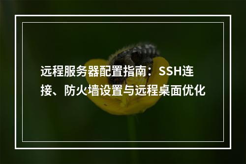 远程服务器配置指南：SSH连接、防火墙设置与远程桌面优化