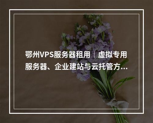 鄂州VPS服务器租用｜虚拟专用服务器、企业建站与云托管方案