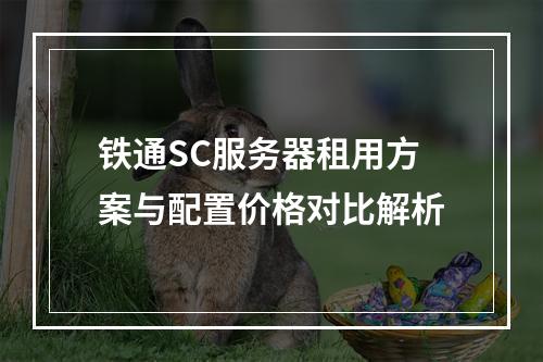 铁通SC服务器租用方案与配置价格对比解析