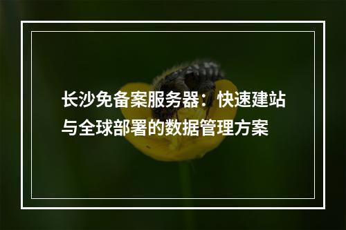 长沙免备案服务器：快速建站与全球部署的数据管理方案