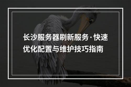 长沙服务器刷新服务·快速优化配置与维护技巧指南