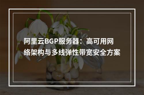 阿里云BGP服务器：高可用网络架构与多线弹性带宽安全方案