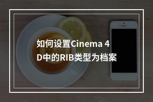 如何设置Cinema 4D中的RIB类型为档案