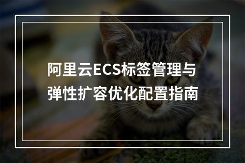 阿里云ECS标签管理与弹性扩容优化配置指南