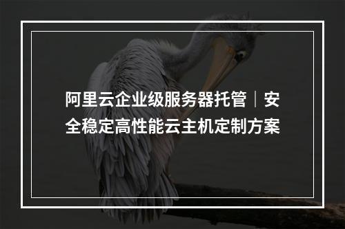 阿里云企业级服务器托管｜安全稳定高性能云主机定制方案