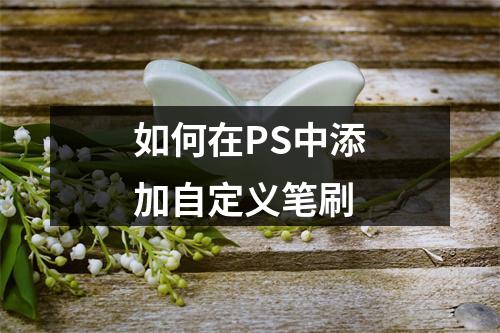 如何在PS中添加自定义笔刷