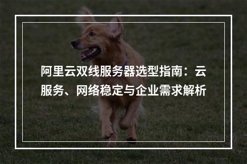 阿里云双线服务器选型指南：云服务、网络稳定与企业需求解析