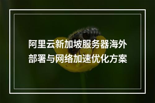 阿里云新加坡服务器海外部署与网络加速优化方案