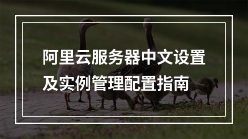 阿里云服务器中文设置及实例管理配置指南