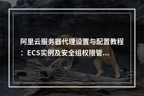 阿里云服务器代理设置与配置教程：ECS实例及安全组权限管理