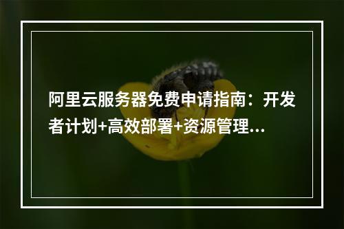 阿里云服务器免费申请指南：开发者计划+高效部署+资源管理解析