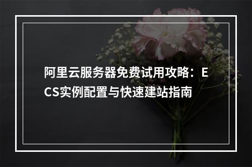 阿里云服务器免费试用攻略：ECS实例配置与快速建站指南