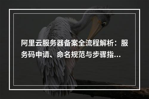阿里云服务器备案全流程解析：服务码申请、命名规范与步骤指南