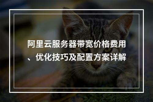 阿里云服务器带宽价格费用、优化技巧及配置方案详解