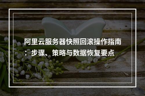 阿里云服务器快照回滚操作指南：步骤、策略与数据恢复要点