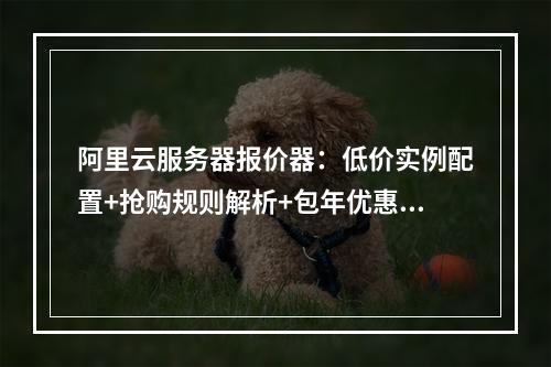 阿里云服务器报价器：低价实例配置+抢购规则解析+包年优惠指南